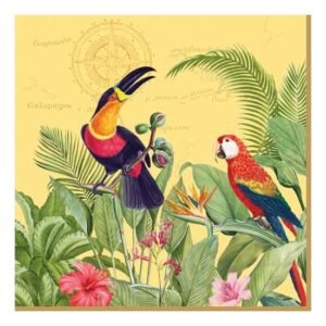 Set x 20 Servilletas