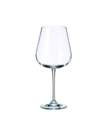 Set 6 Copas Vino Amundsen