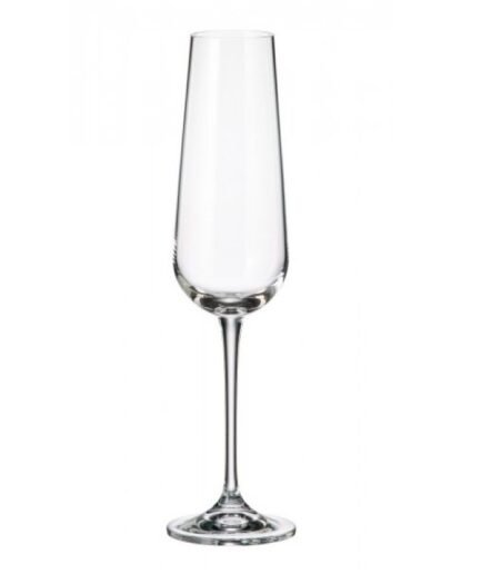 Set 6 Copas Flut/ Amundsen