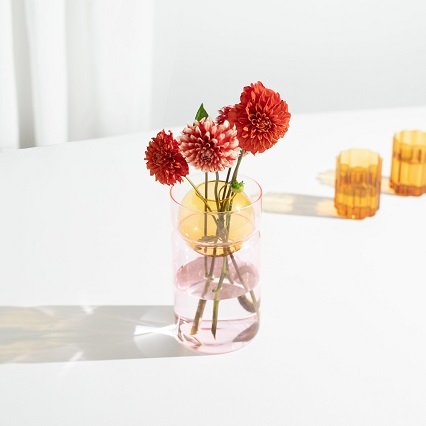Florero Bicolor